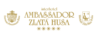 Ambassador Zlata Husa ***** Prague 1
